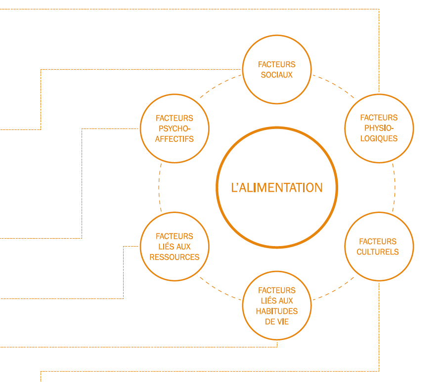 Illustration Alimentation Cultures et santé.be