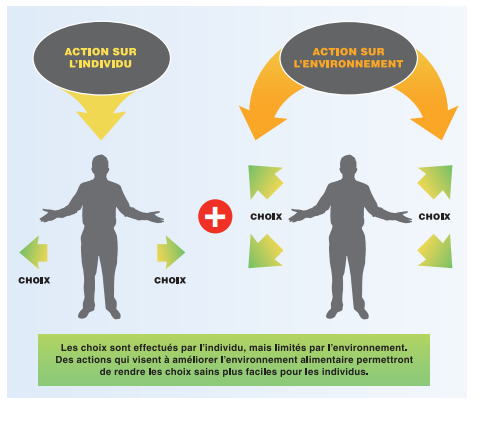 Illustration Alimentation Saine