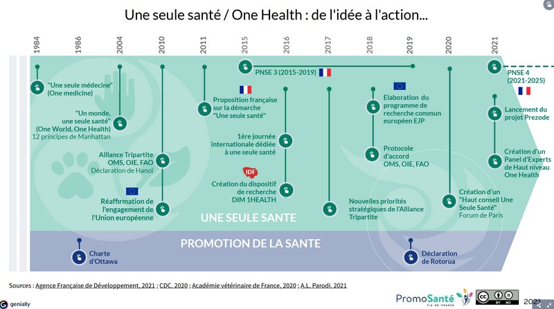 Frise historique One health