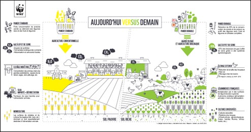 Illustration transition socioécologique