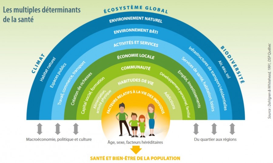 Illustration Déterminants de santé - Alterre